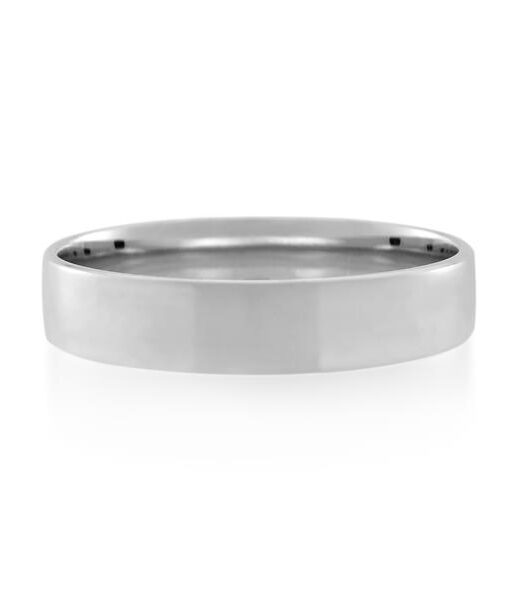 9CT White Gold  Ladies Ring Width 5 mm. - Monty Adams