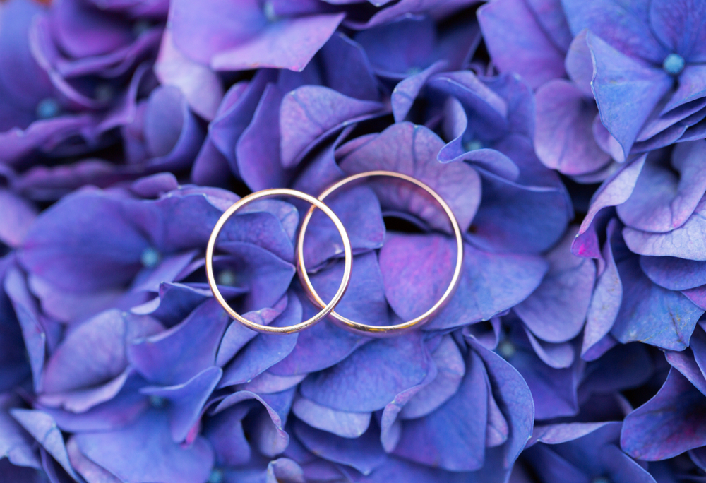 Couple wedding rings laying on each other on the top of a purple flowers